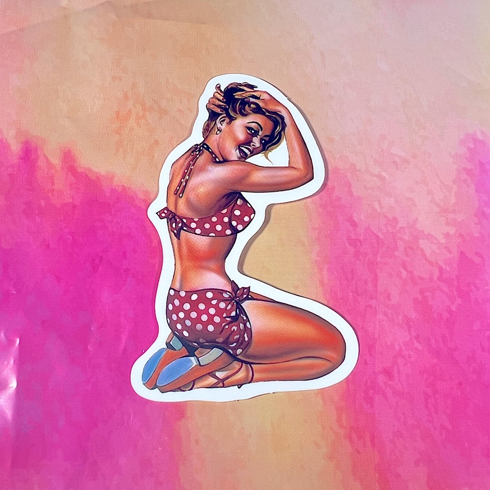 Dotty Sexy Pinup Gorgeous Sticker Retro Vintage BomberGirl Ace Cook Foodie